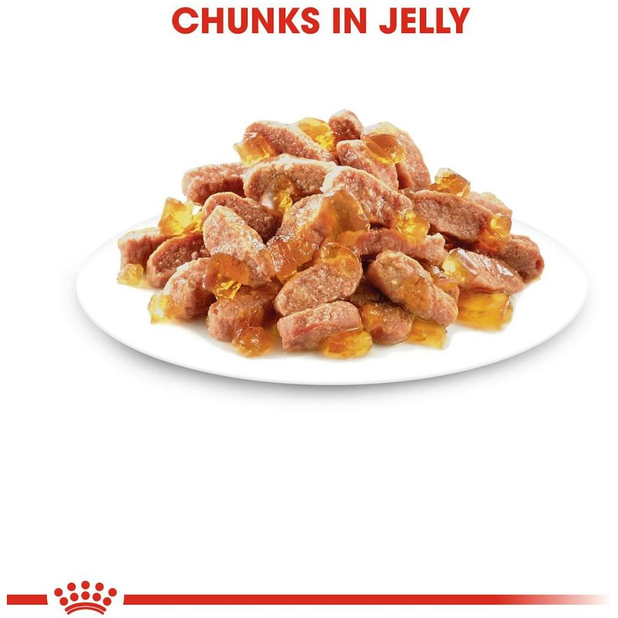 Royal Canin Kitten Instinctive Jelly Cat Wet Food 85g