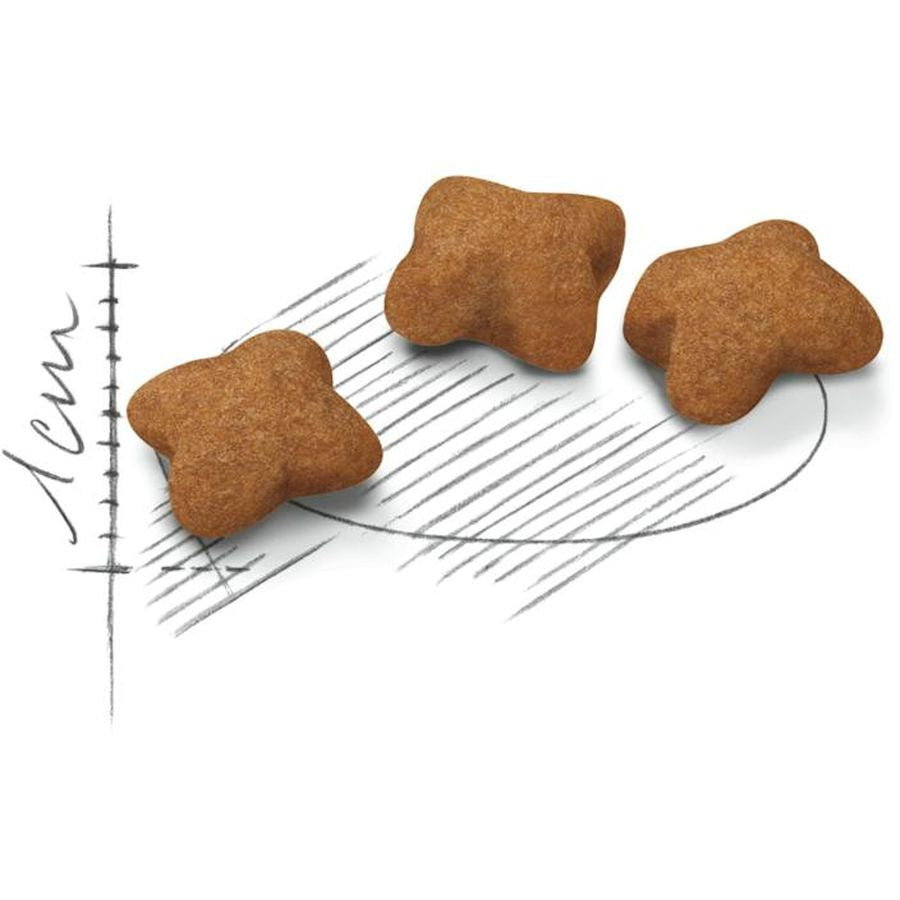 Royal Canin Kitten Sterilised Cat Dry Food 2kg