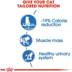 Royal Canin Light Weight Care Adult Cat Wet Food 85g