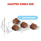 Royal Canin Mother & Babycat Dry Food 2kg