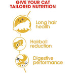 Royal Canin Persian Adult Cat Dry Food 2kg