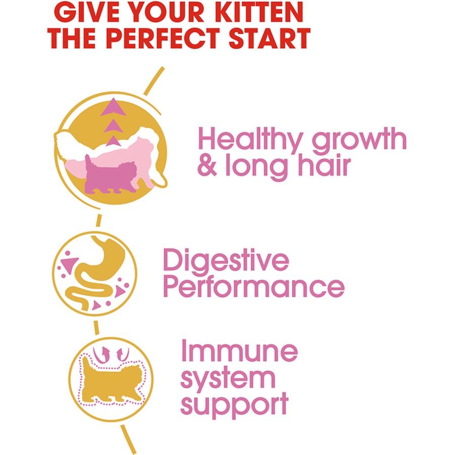 Royal Canin Persian Kitten Dry Food 2kg