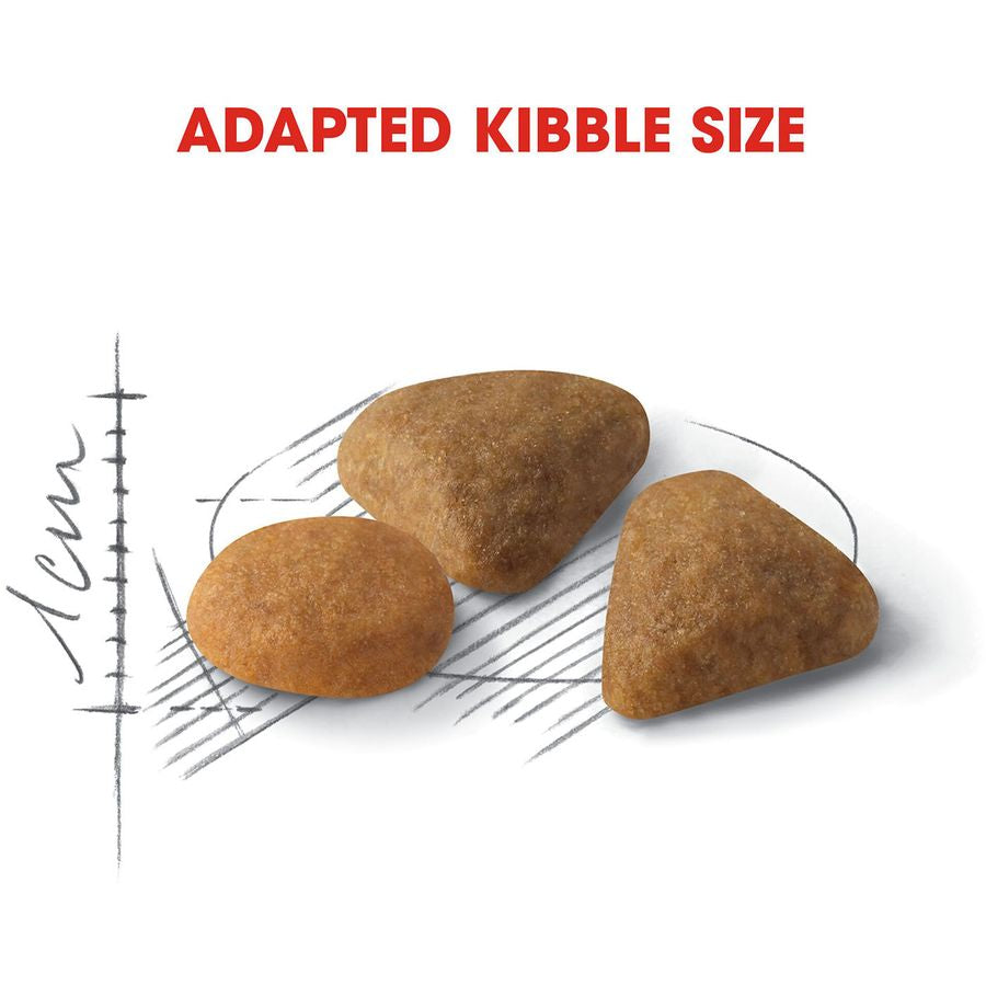 Royal Canin Savour Exigent Adult Cat Dry Food 2kg