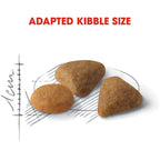 Royal Canin Savour Exigent Adult Cat Dry Food 2kg