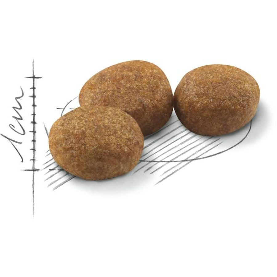 Royal Canin Sterilised Adult Cat Dry Food 2kg