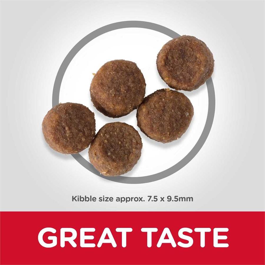 Hill's Science Plan Medium Puppy Dry Food Chicken 2.5kg