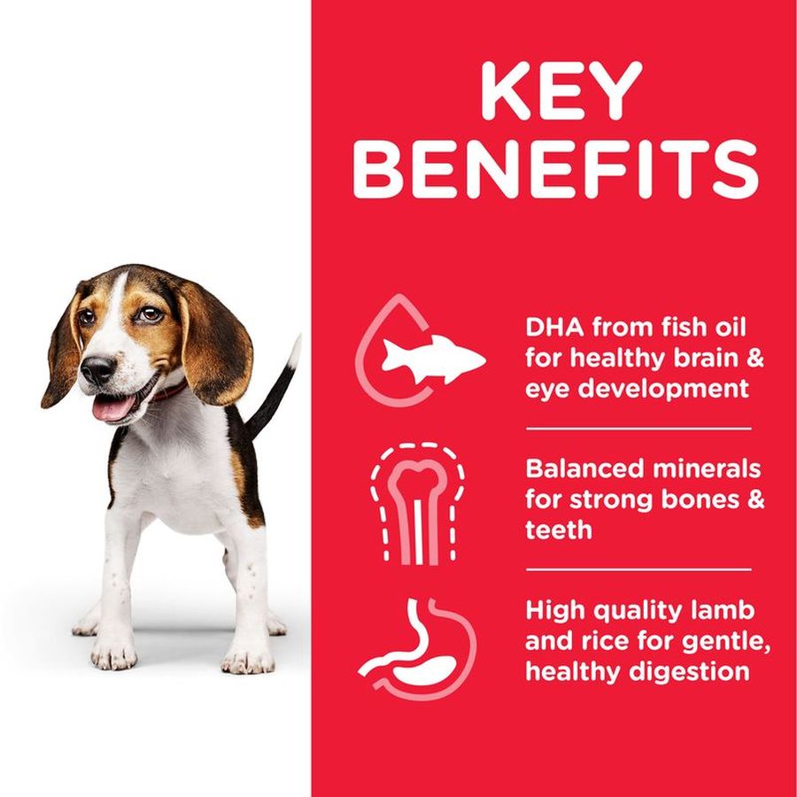 Hill's Science Plan Medium Puppy Dry Food Chicken 2.5kg