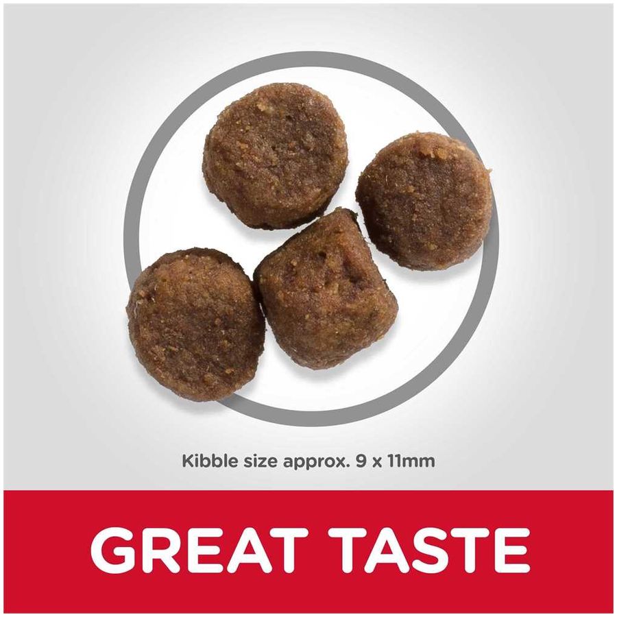 Hill's Science Plan Medium Puppy Dry Food Lamb & Rice 2.5kg