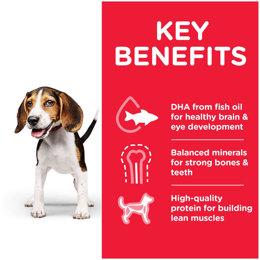 Hill's Science Plan Puppy Wet Food Chicken 370g