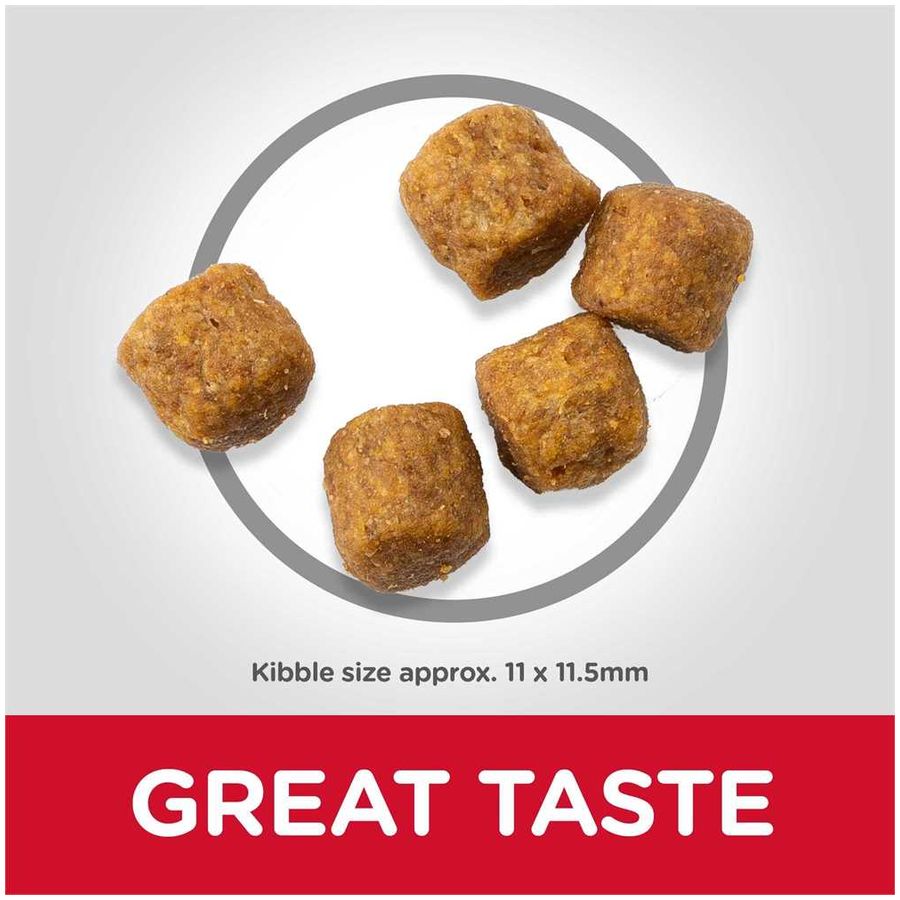 Hill's Science Plan Medium Adult Dog Dry Food Lamb & Rice 14kg