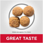 Hill's Science Plan Large Breed Adult Dog Dry Food Chicken 18kg