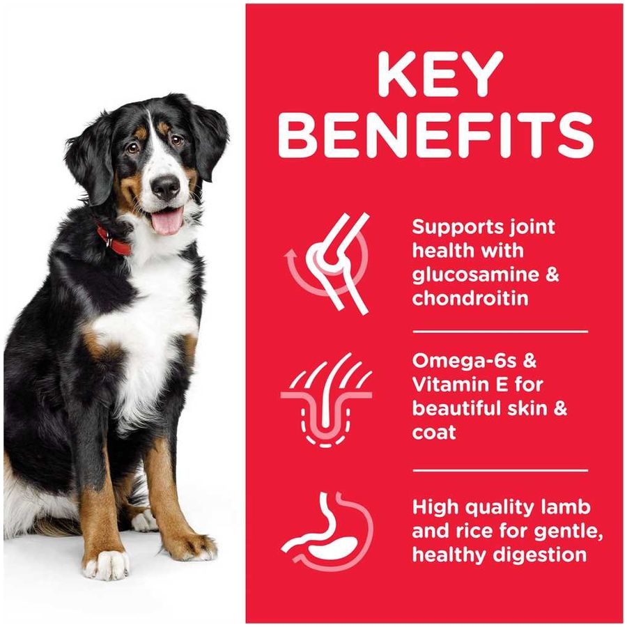 Hill's Science Plan Large Breed Adult Dog Dry Food Chicken 18kg