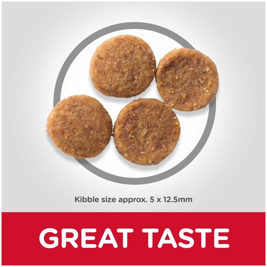 Hill's Science Plan Sensitive Stomach & Skin Medium Adult Dog Dry Food Chicken 14kg