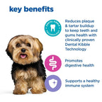 Hill's Vet Essentials Dental Health Adult Small & Mini Dog Dry Food Chicken 2kg