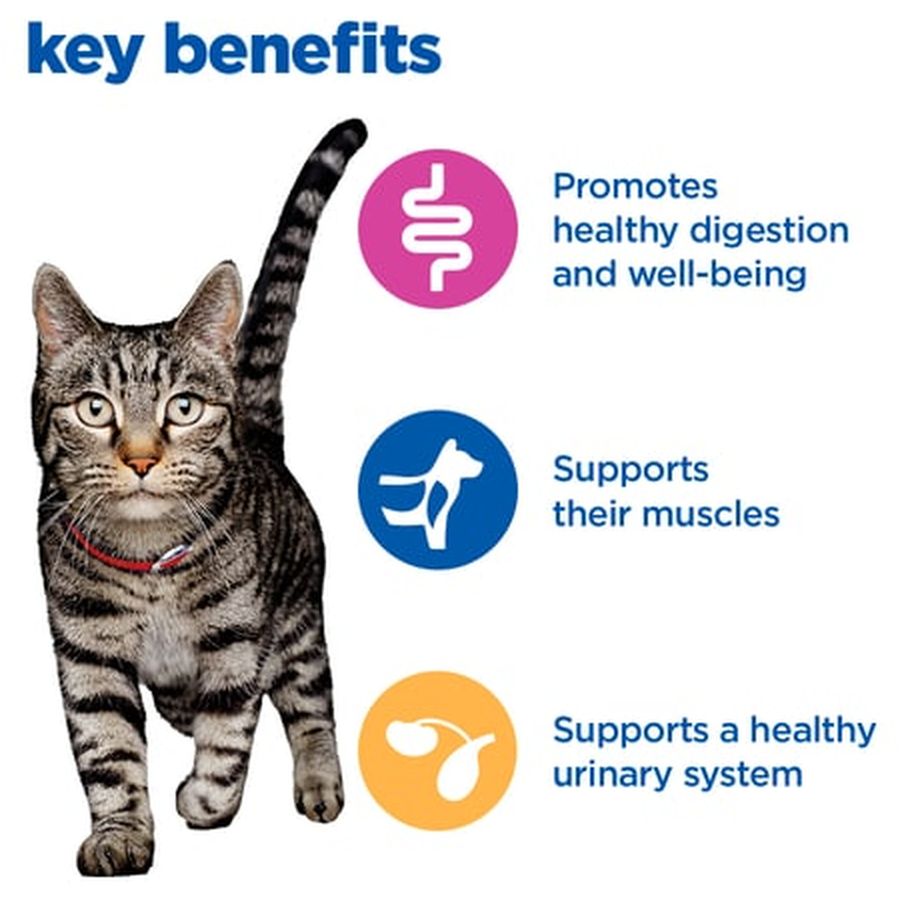 Hill's Vet Essentials Multi-Benefit Adult 1-6 Dry Cat Food 1.5kg