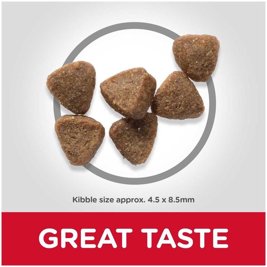 Hill's Science Plan Kitten Dry Food Chicken 1.5kg