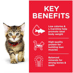 Hill's Science Plan Kitten Dry Food Chicken 1.5kg