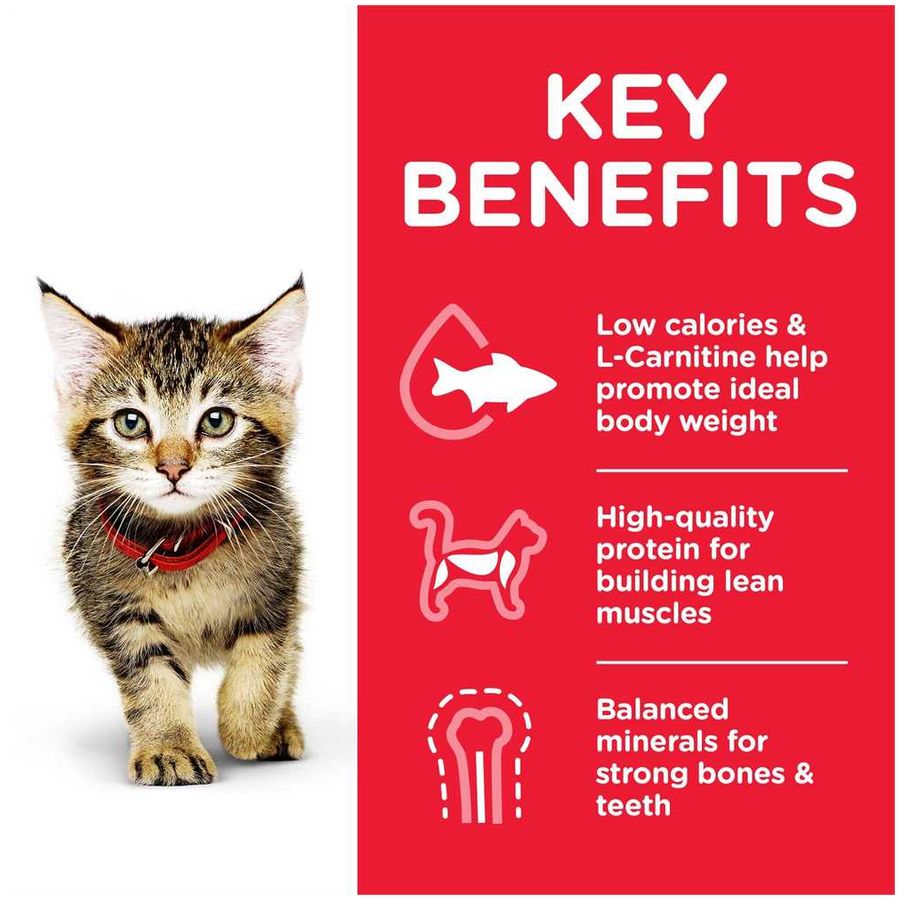 Hill's Science Plan Kitten Dry Food Chicken 1.5kg