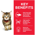 Hill's Science Plan Kitten Wet Food Ocean Fish in Gravy 85g