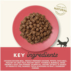 Applaws Dry Adult Cat Food Chicken with Duck 2kg