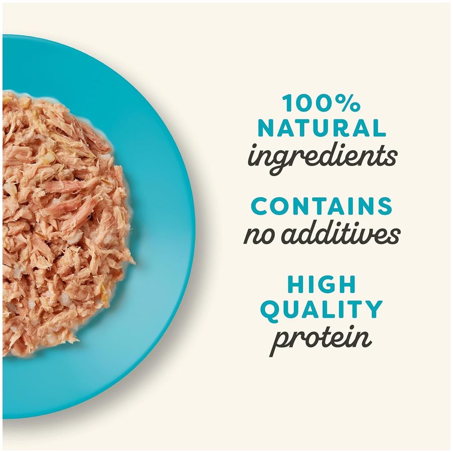 Applaws Wet Adult Cat Food Tuna Fillet in Broth 156g Tin