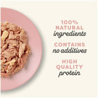 Applaws Wet Adult Cat Food Tuna Fillet with Prawn Broth 156g Tin