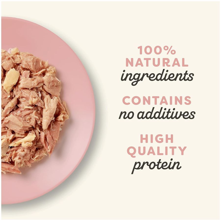 Applaws Wet Adult Cat Food Tuna Fillet with Prawn Broth 156g Tin