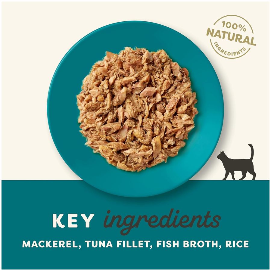 Applaws Wet Adult Cat Food Ocean Fish in Broth 156g Tin