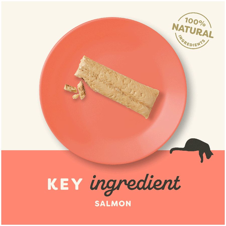 Applaws Adult Cat Treat Salmon Fillet 30g