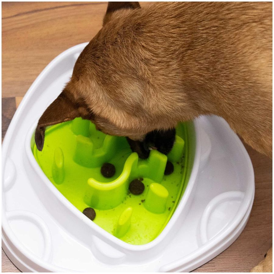 All for Paws Interactive Food Maze