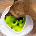 All for Paws Interactive Food Maze