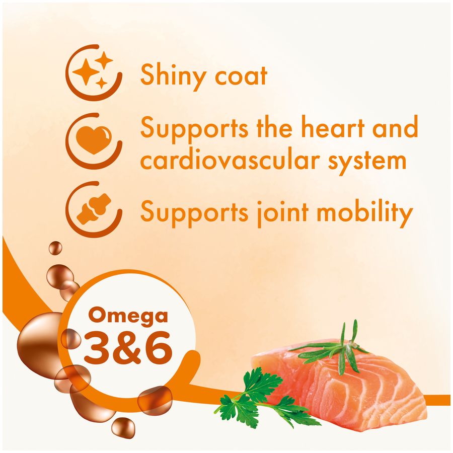 Beaphar Salmon Oil 430mL per bottle