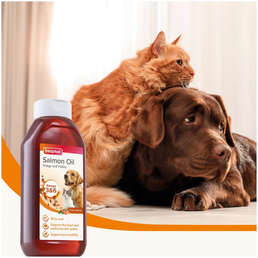 Beaphar Salmon Oil 430mL per bottle