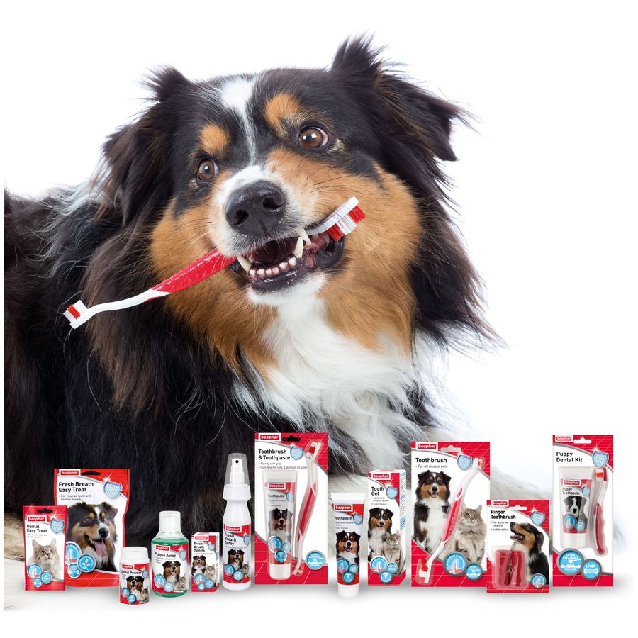 Beaphar Toothpaste Dog/Cat