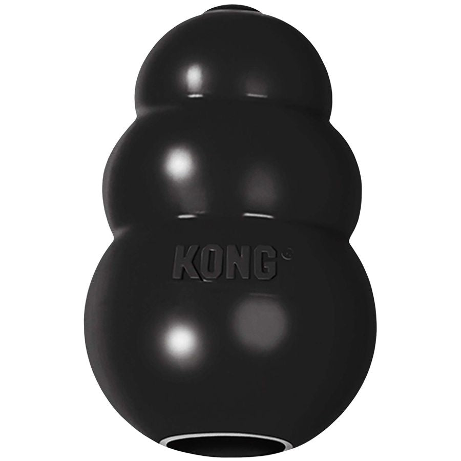 Kong Extreme Dog Toy - L