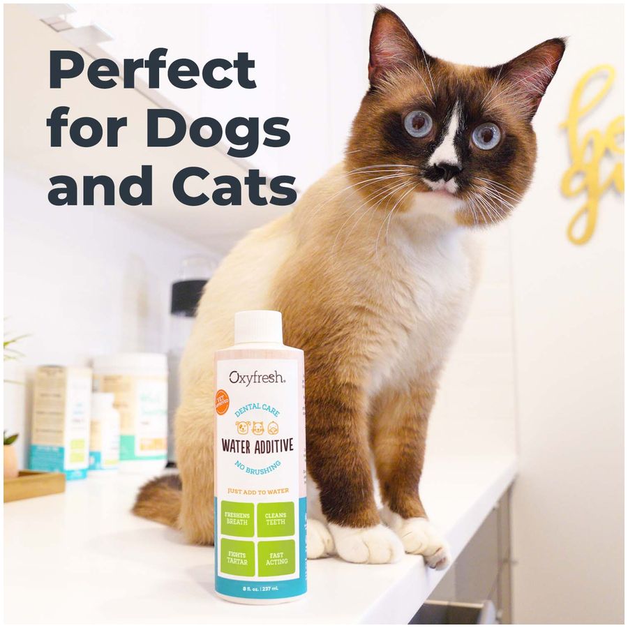 Oxyfresh Premium Pet Dental Water Additive 473ml