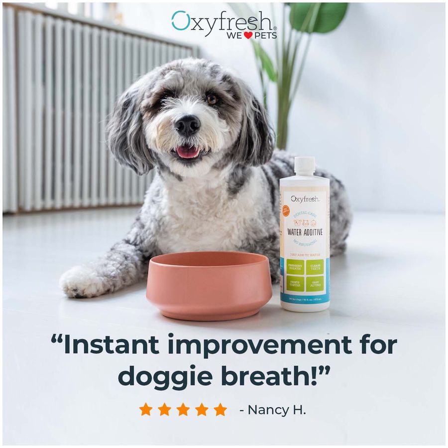 Oxyfresh Premium Pet Dental Water Additive 473ml