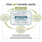 Pet Remedy Mini Calming Spray 15ml