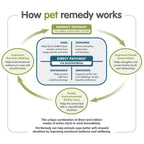 Pet Remedy Refill Pack (2 x 40ml bottle)