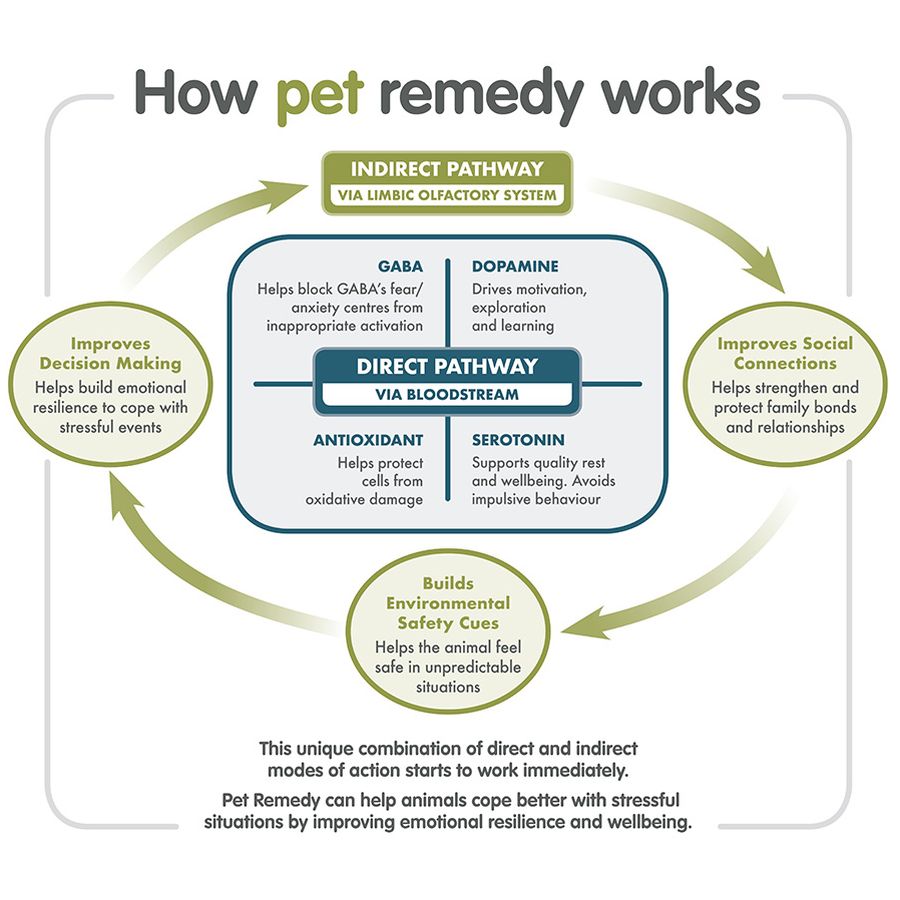 Pet Remedy Refill Pack (2 x 40ml bottle)