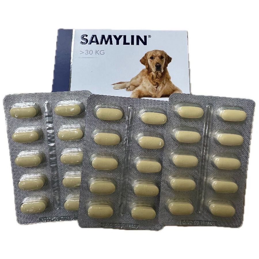VetPlus Samylin Tablet DOG >30kg, per tablet