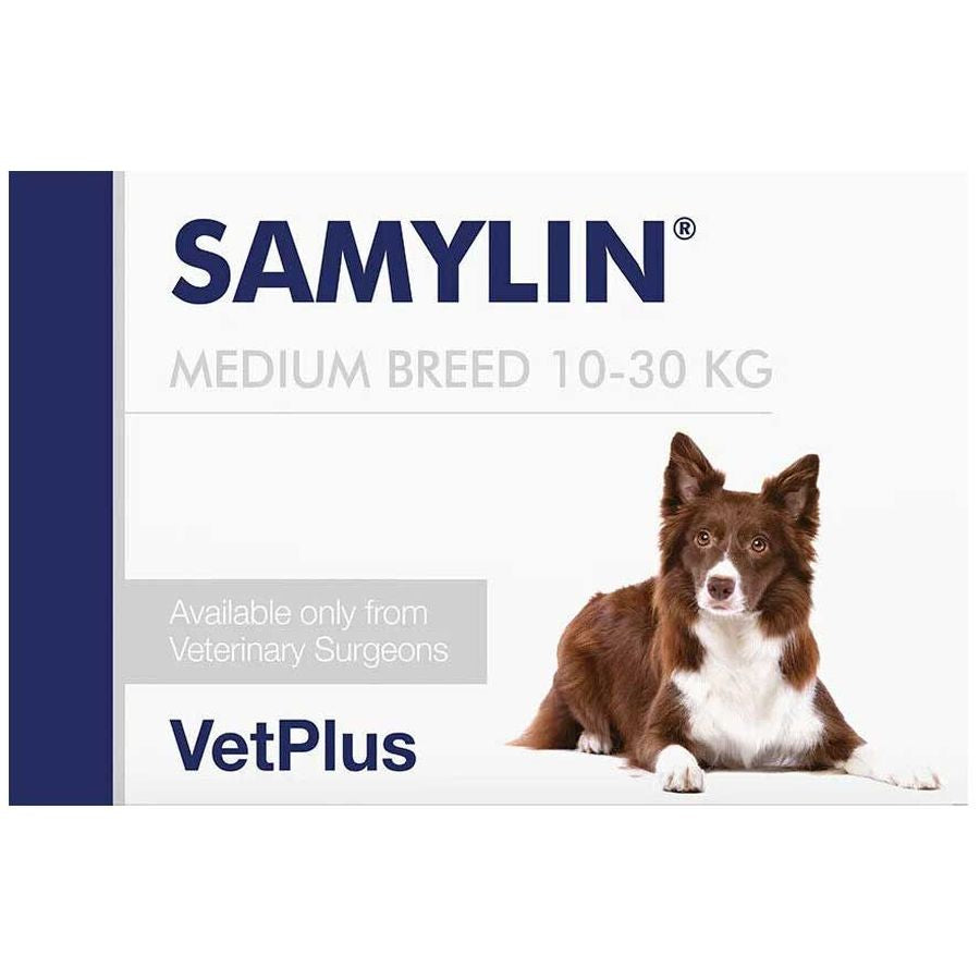 VetPlus Samylin Tablet DOG 10-30kg, per tablet