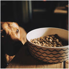 Beco Bamboo Printed Bowl Ocean Waves - L