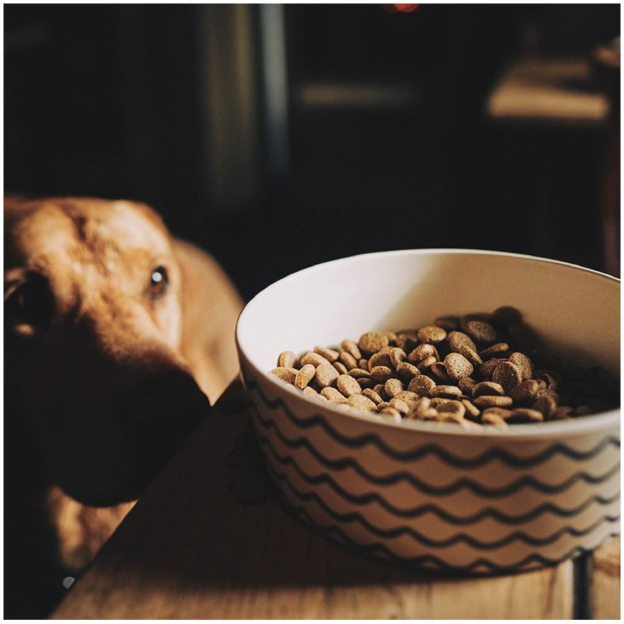 Beco Bamboo Printed Bowl Ocean Waves - L