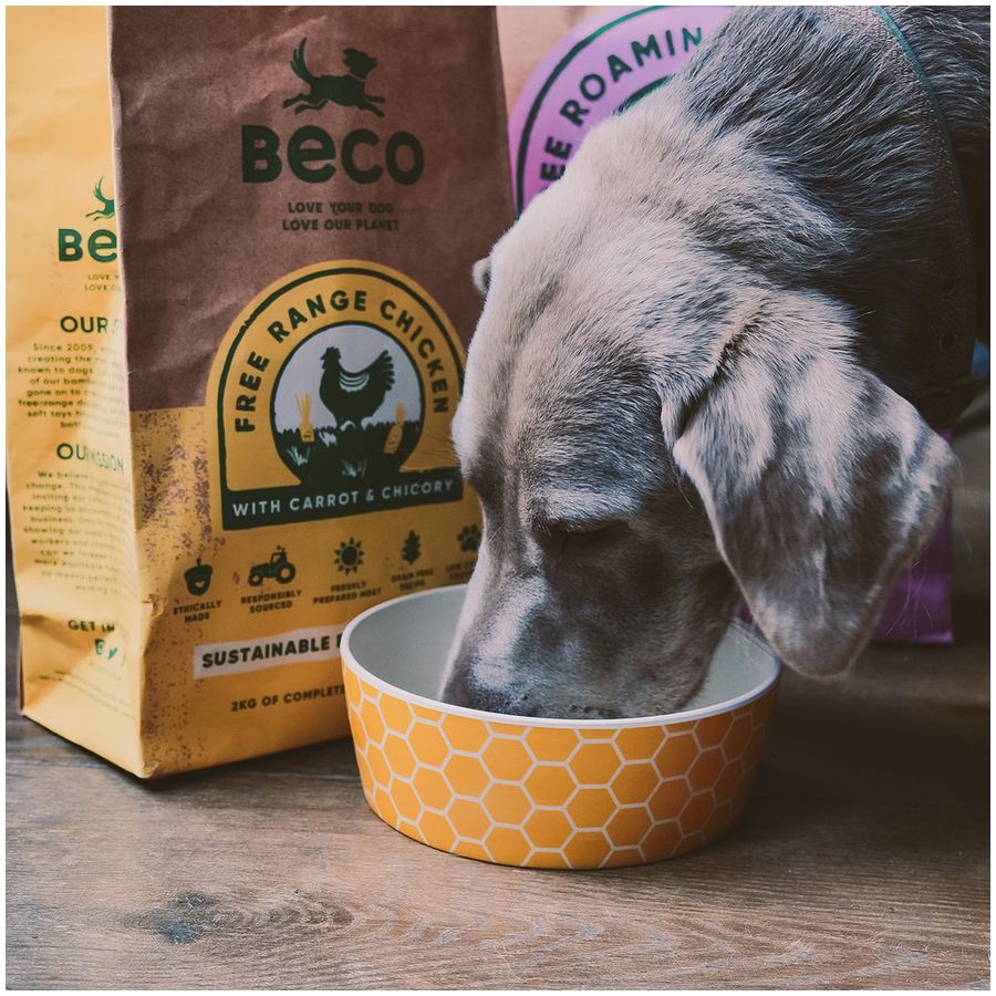 Beco Bamboo Pet Bowl Honeycomb - L