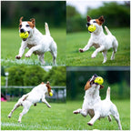 Skipdawg Breezy Ball M 2-piece pack