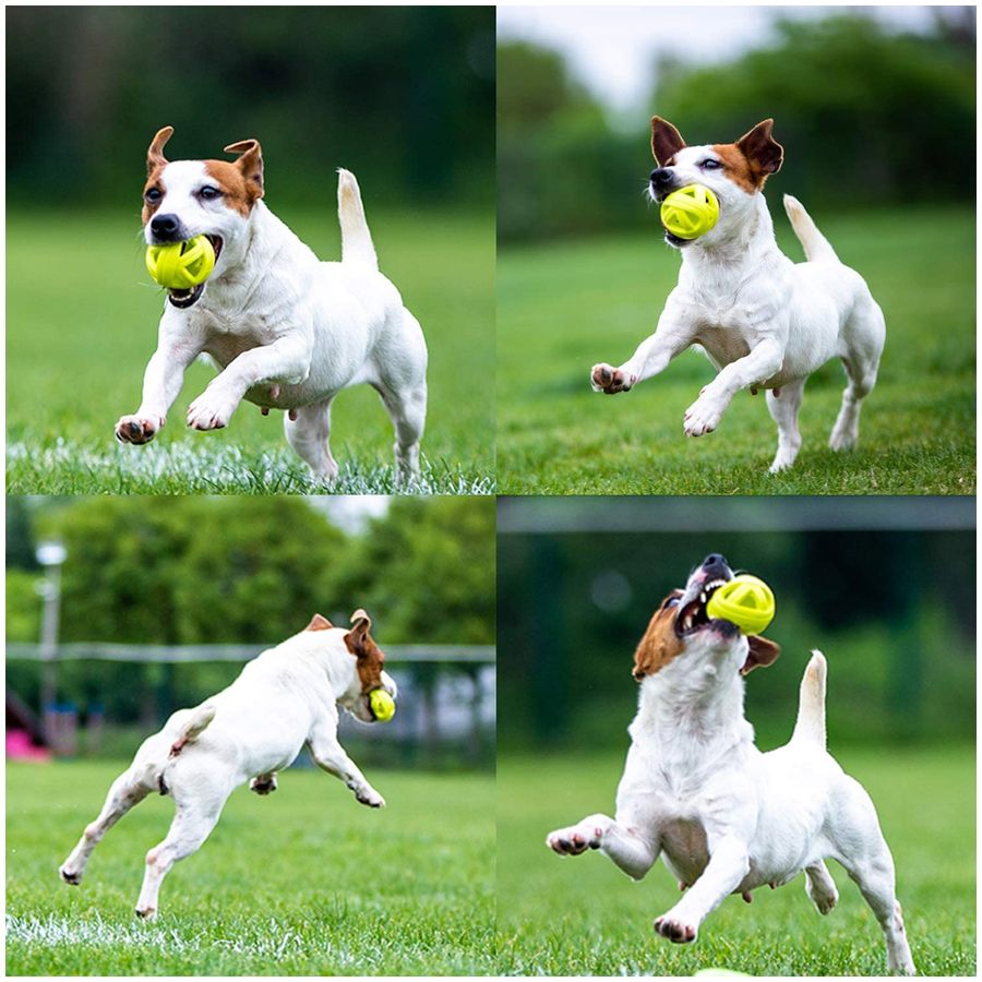 Skipdawg Breezy Ball M 2-piece pack