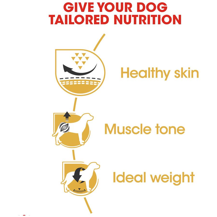 Royal Canin Pug Adult Dog Dry Food 1.5kg