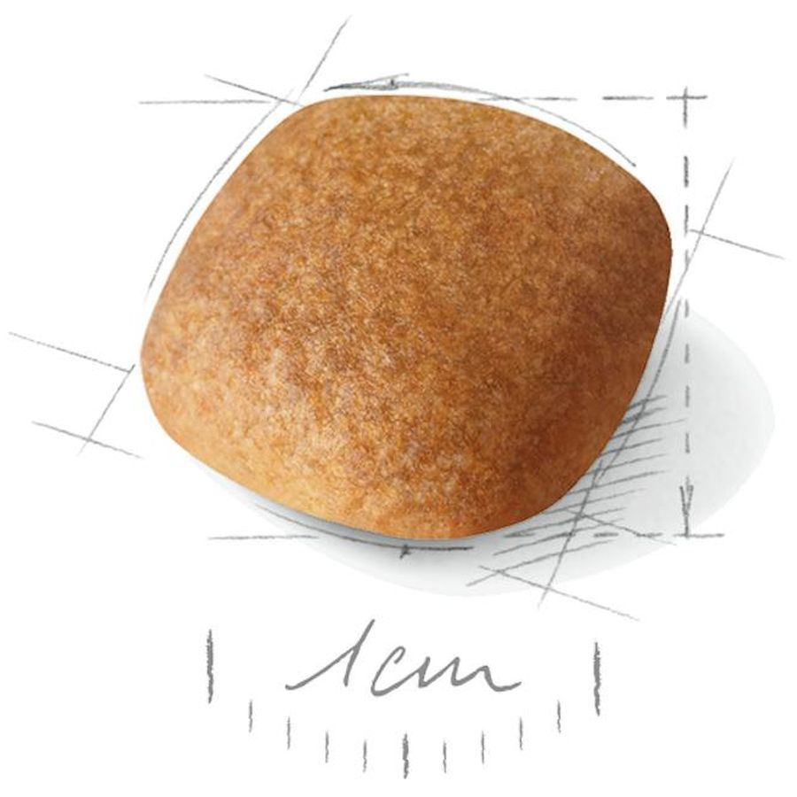 Royal Canin Bichon Frise Adult Dog Dry Food 1.5kg