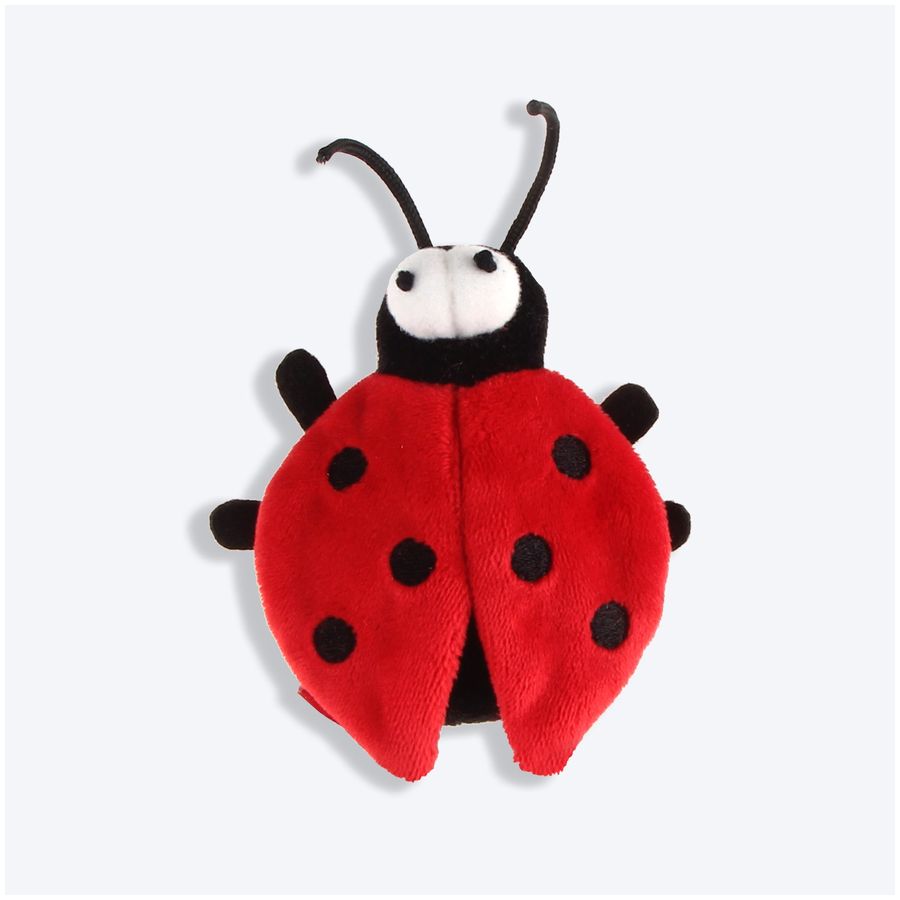 GiGwi Melody Chaser Beetle